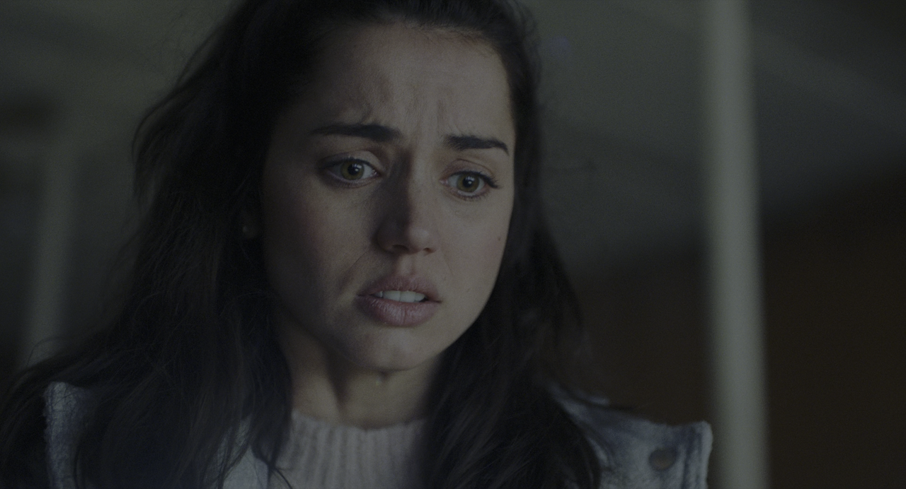 Cena con delitto (2019) [BluRay Rip 2160p HEVC 10bit-HDR ITA-ENG