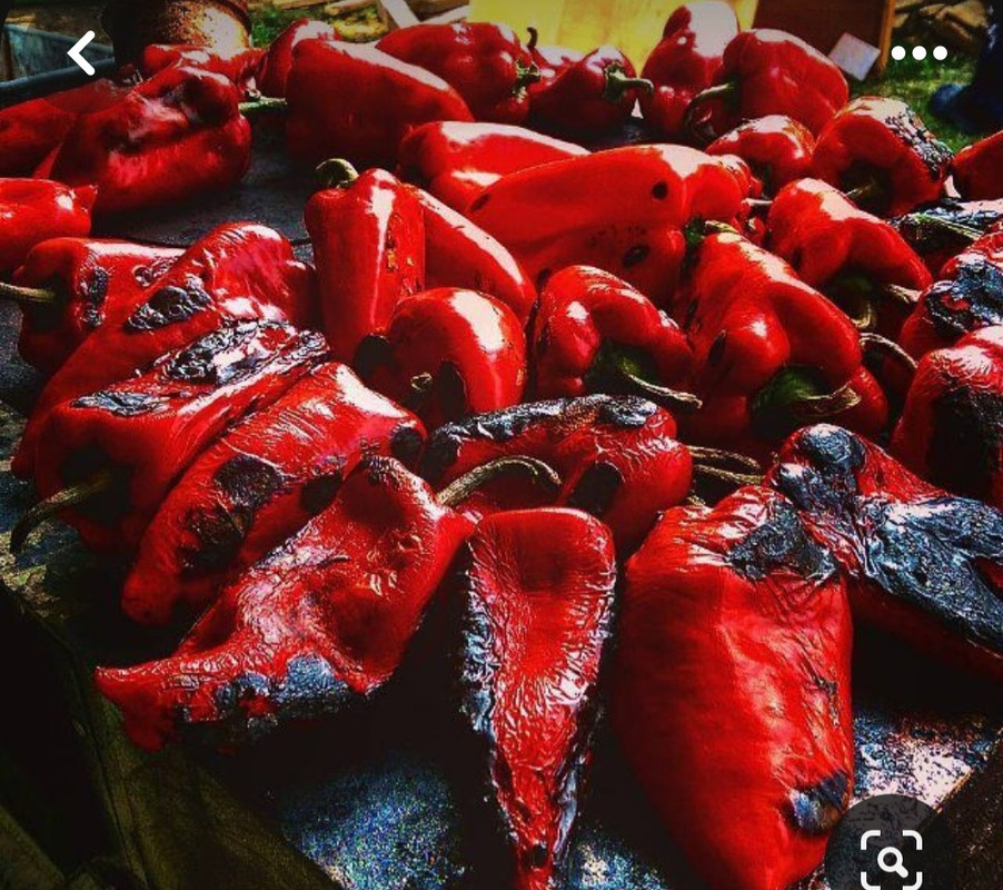 Screenshot_20231119_101735_Pinterest