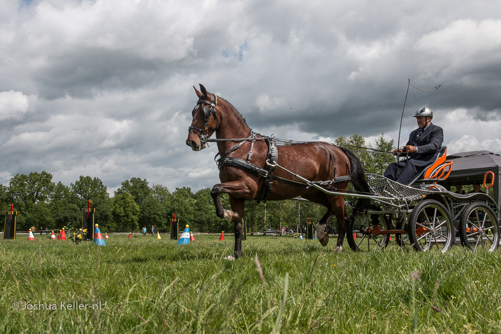 MG-7968vaardigheid-dressuur-nienoord-2022