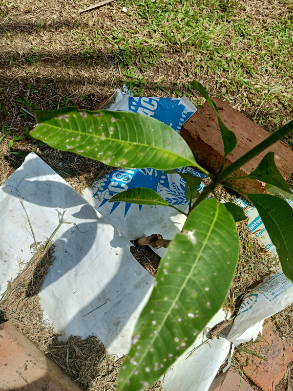 IMG20220613112712