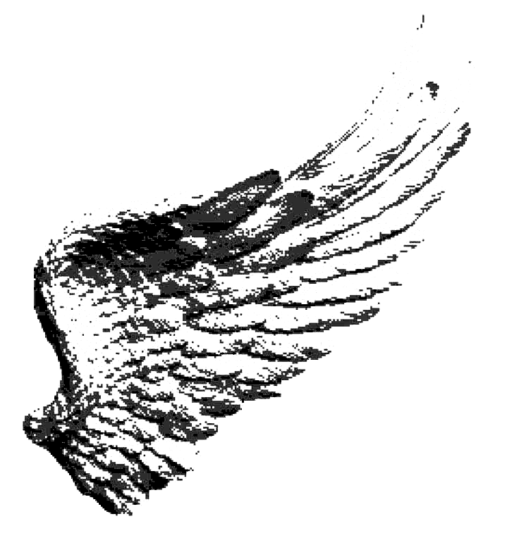 Wing