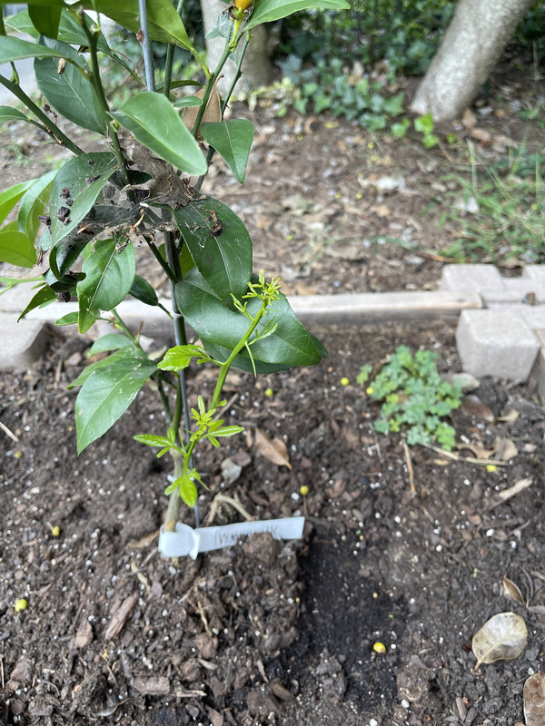 ABC5BBC7-E997-4AD0-9284-4AAEB5230429