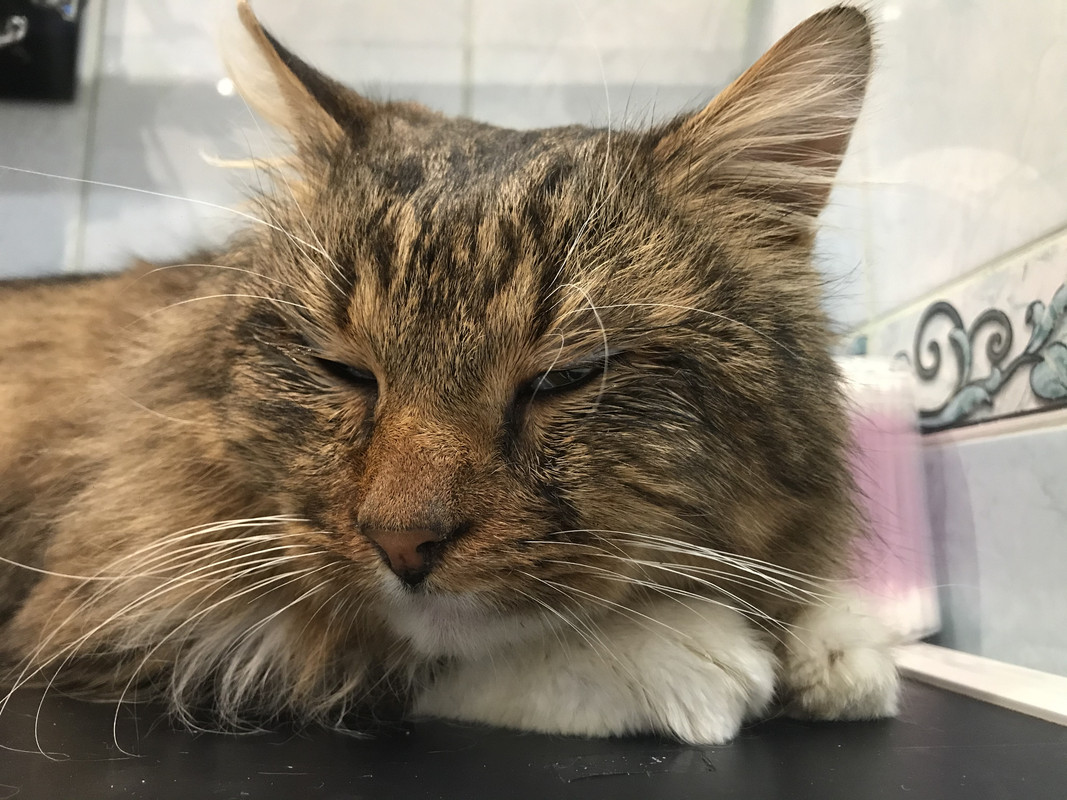 3AA0BD35-640F-433D-9B3F-08CF0BAD672F