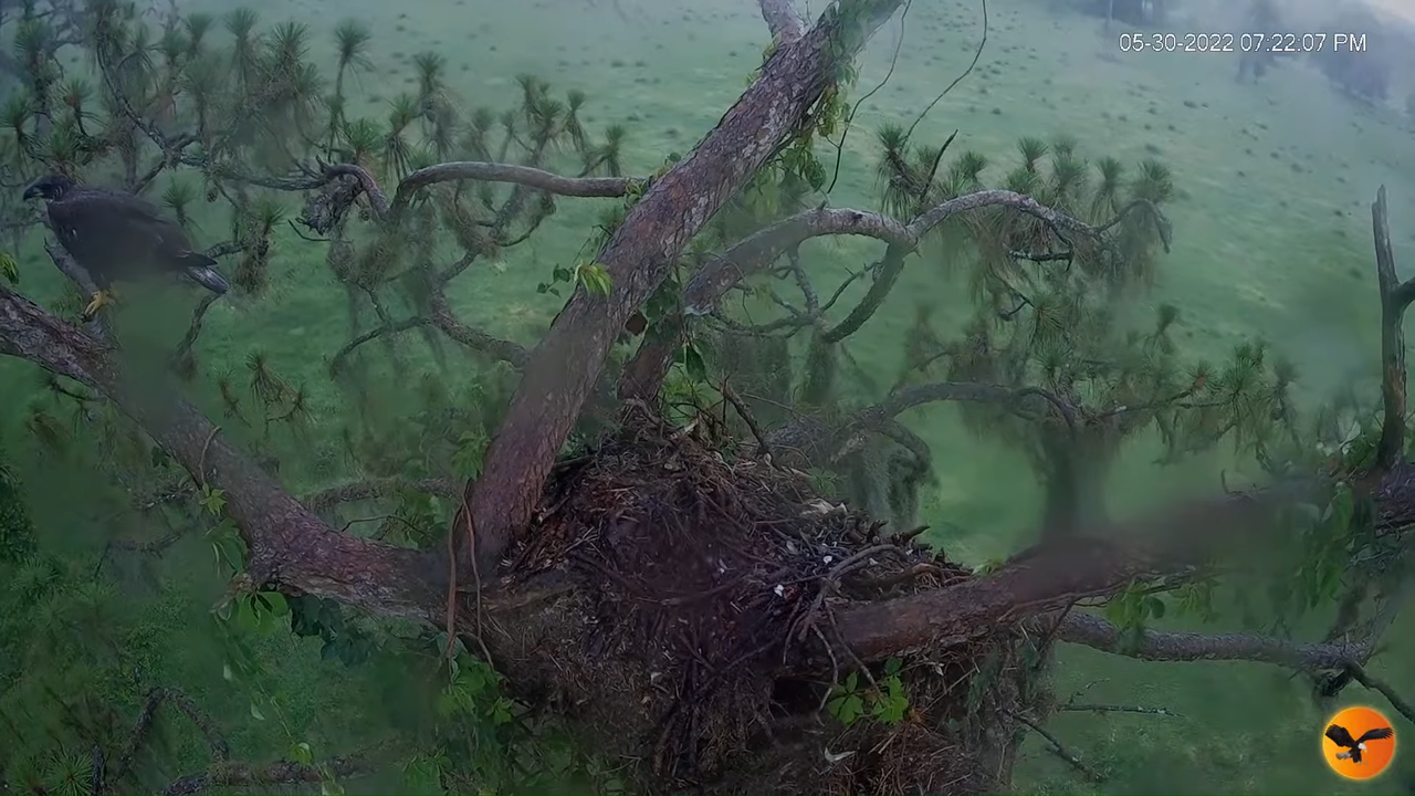 EC 4K Overhead Cam 10-56-15 screenshot