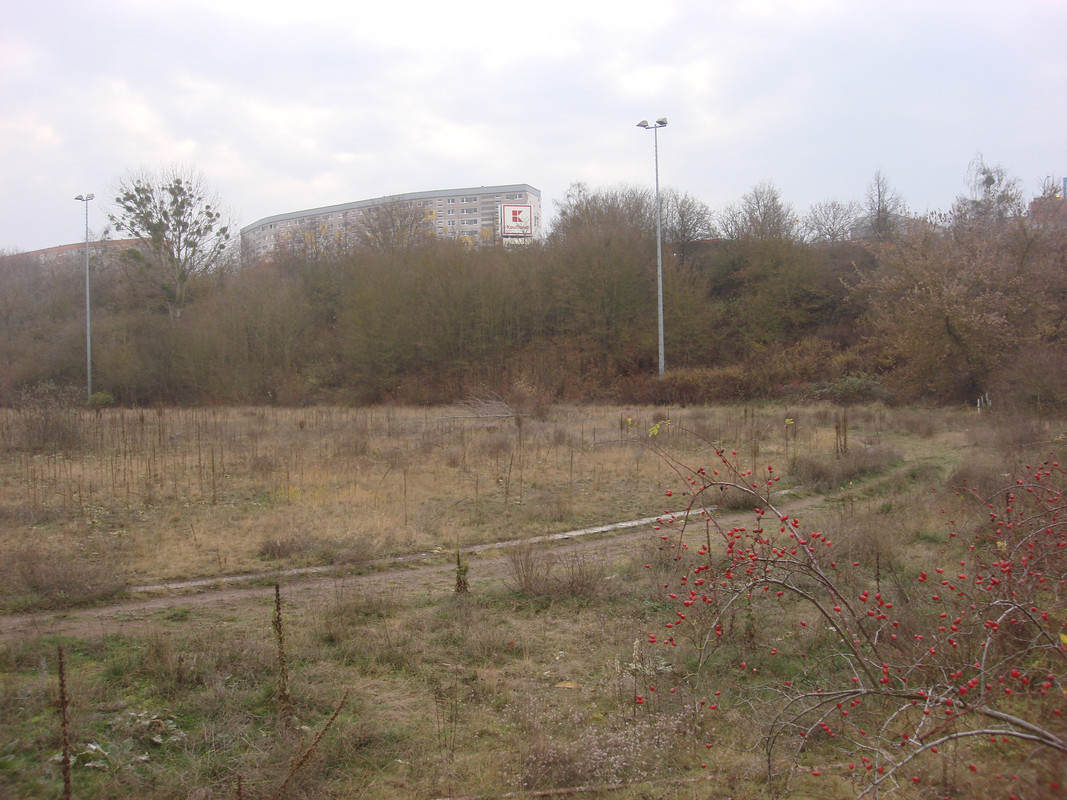 DSC08674.jpg