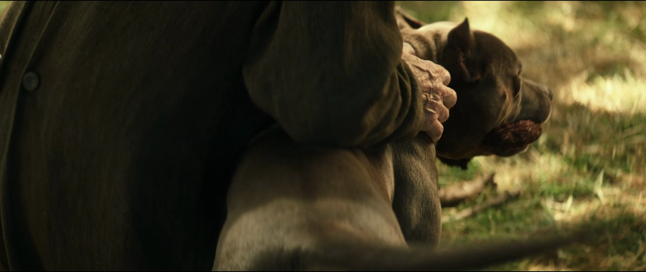 Star Trek Picard Season 1 S01 1080p 10bit WEBRip 6CH x265 HEVC PSA