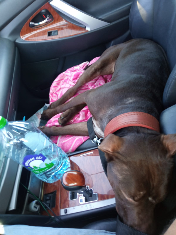 E80B6CB4-23BF-4821-8A54-CEF4BE51BF69