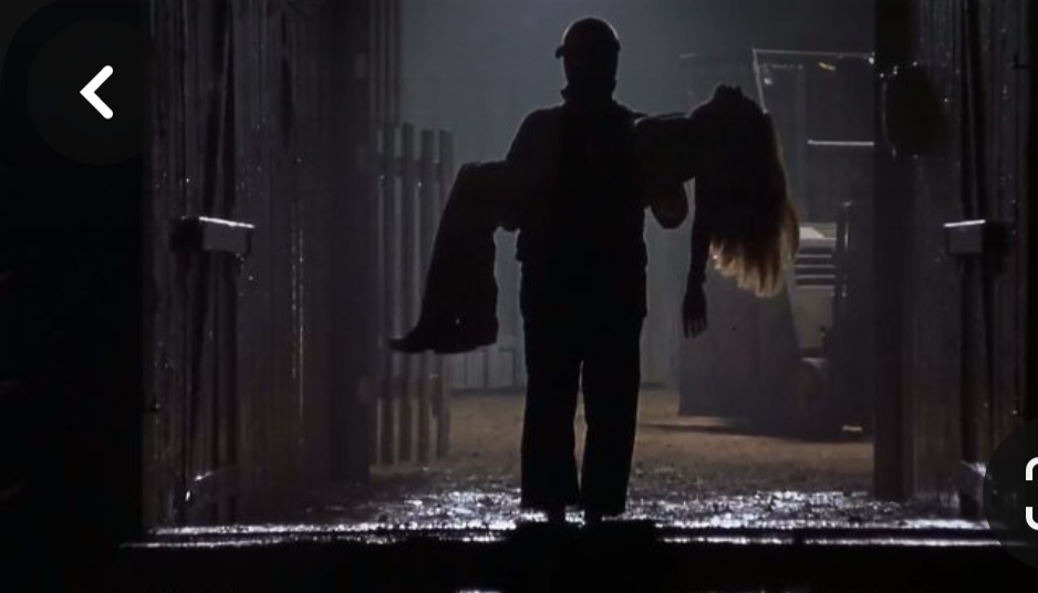 Screenshot_20240216_155350_Pinterest