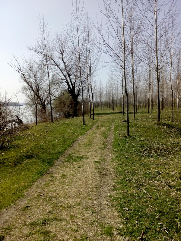 IMG-20200319-130112.jpg