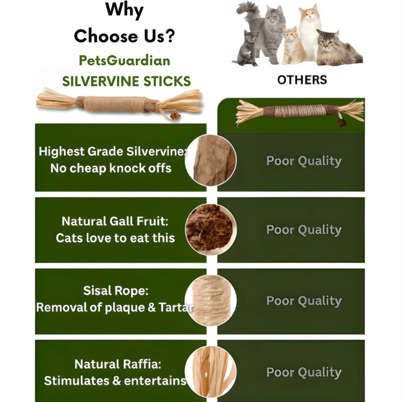 Why Choose Elystria Silvervine Sticks - Comparison with Others