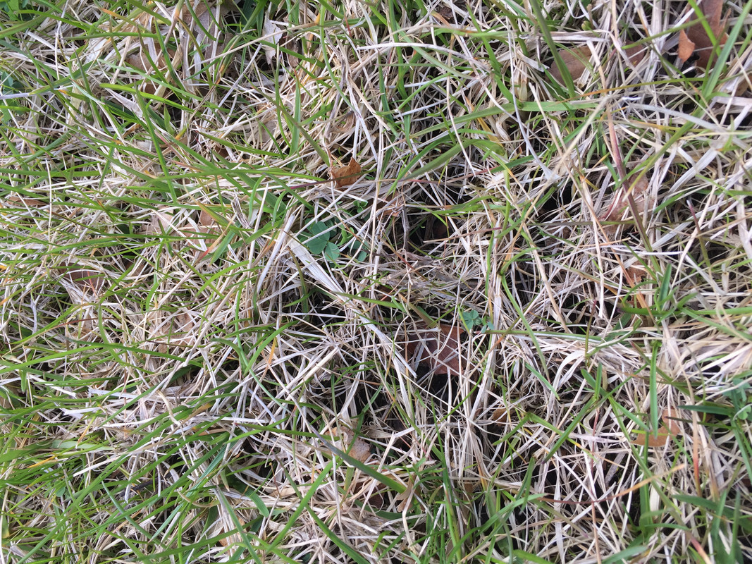 BE1DB679-122E-41EA-B01D-ECA69FBB0816