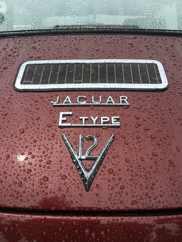 71000F32-C64F-4982-ADCA-E707BD9A768E