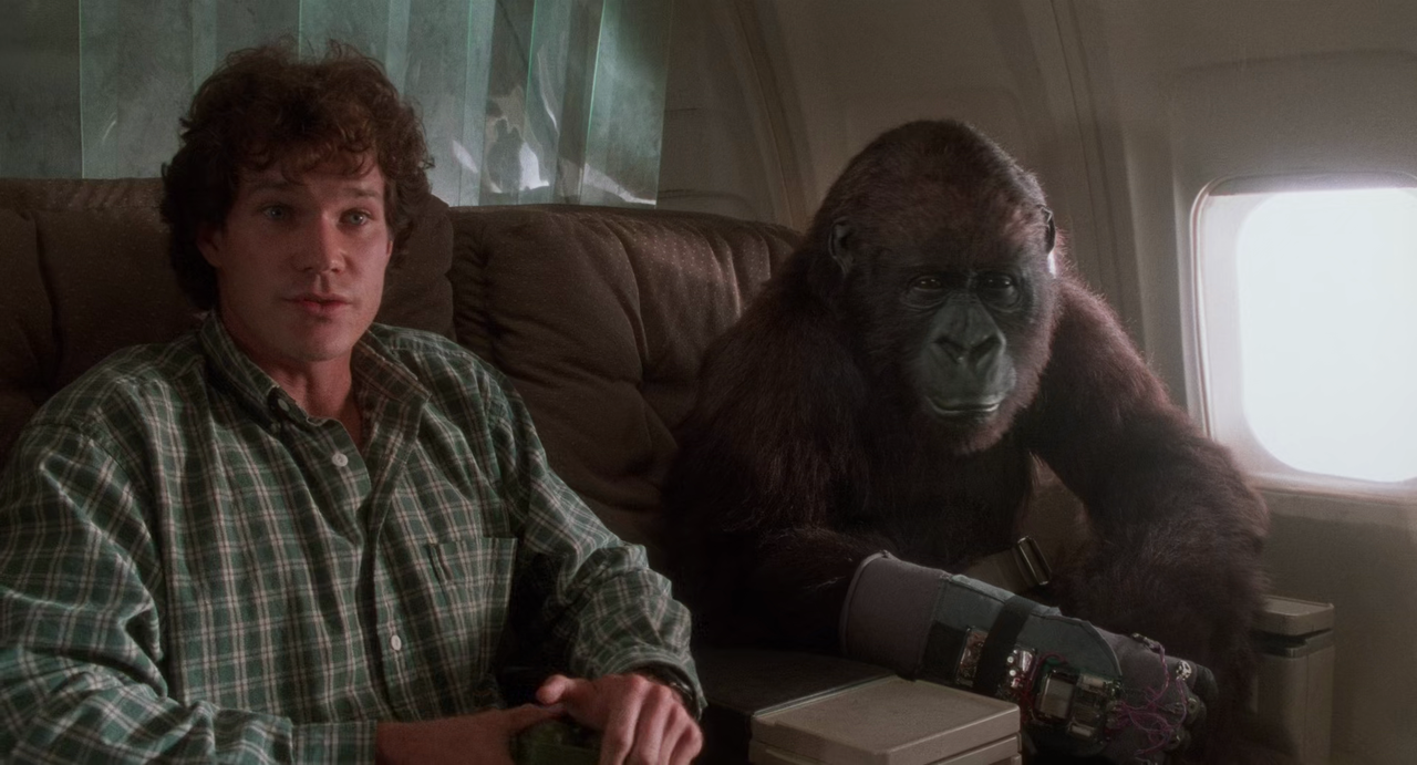 Movie cover image
