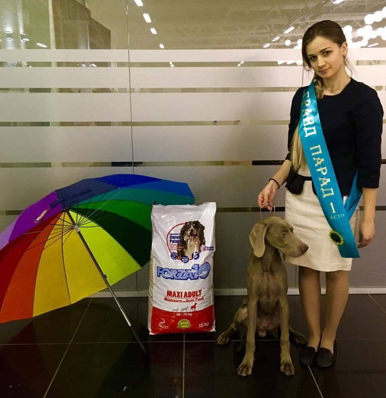 Возраст бебики и щенки