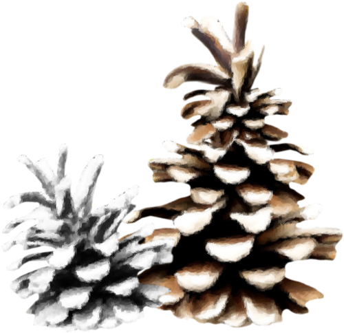 Christmas Dreams (122)