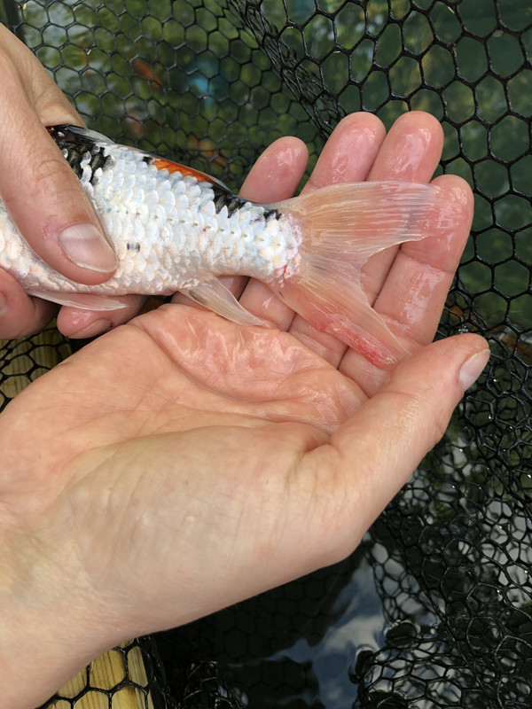 E14C1DD9-307B-49B0-9D22-7114AA396518