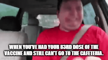 gif1.gif