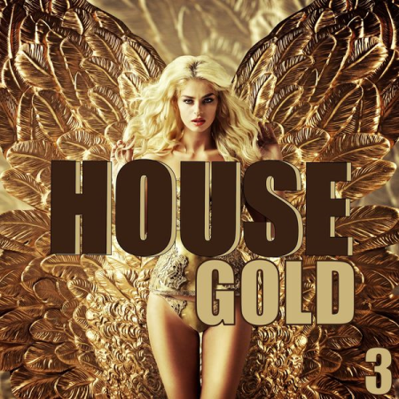 Various Artists - House Gold, Volume 3 (2020)