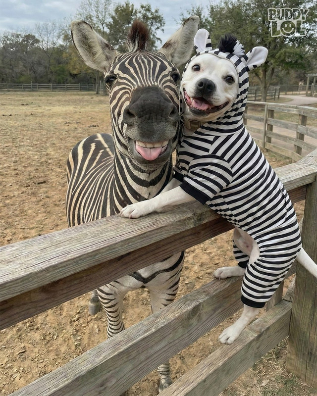 615474436 872111322239626 1798728066931493265 n