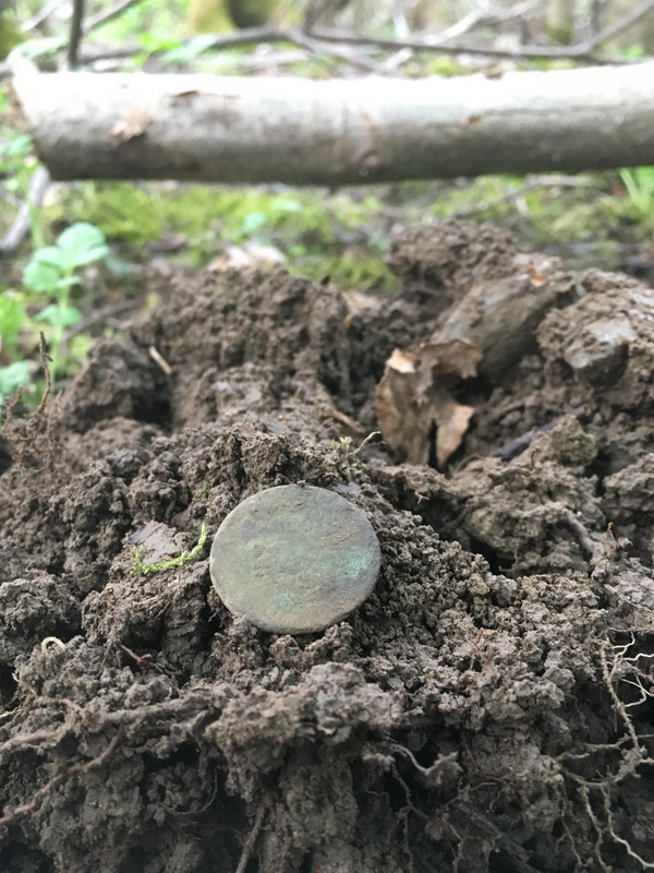 21C3256A-51EB-4492-B85A-3E343F95FAE2