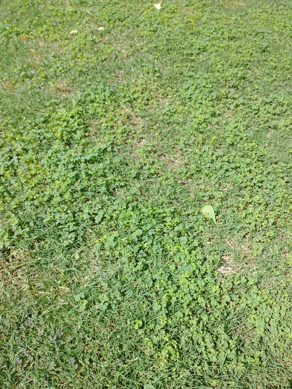 IMG_20210517_155258256