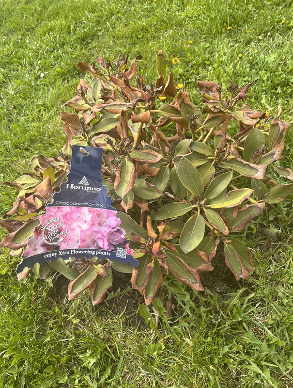 15D125A5-C5FF-4E89-82ED-07075DDBFD87