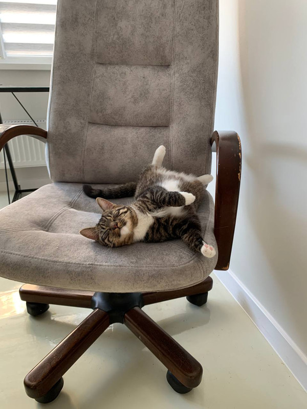 09D81080-6E46-47F8-BD26-669EEE11959B