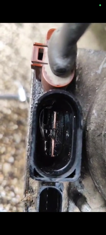 Screenshot_2024-10-27-19-57-49-775_com.whatsapp