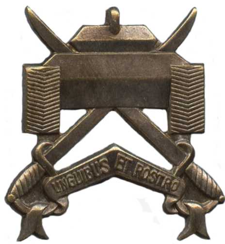 Кокарда  17-го эскадрона Военной разведки (RECCE