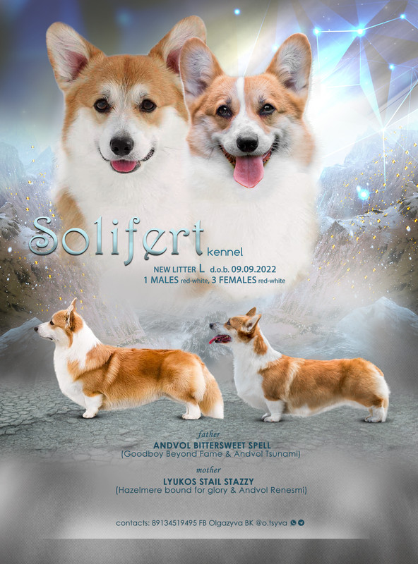 5AA3AB09-A57C-4AD1-8C01-A280EA39E1FA