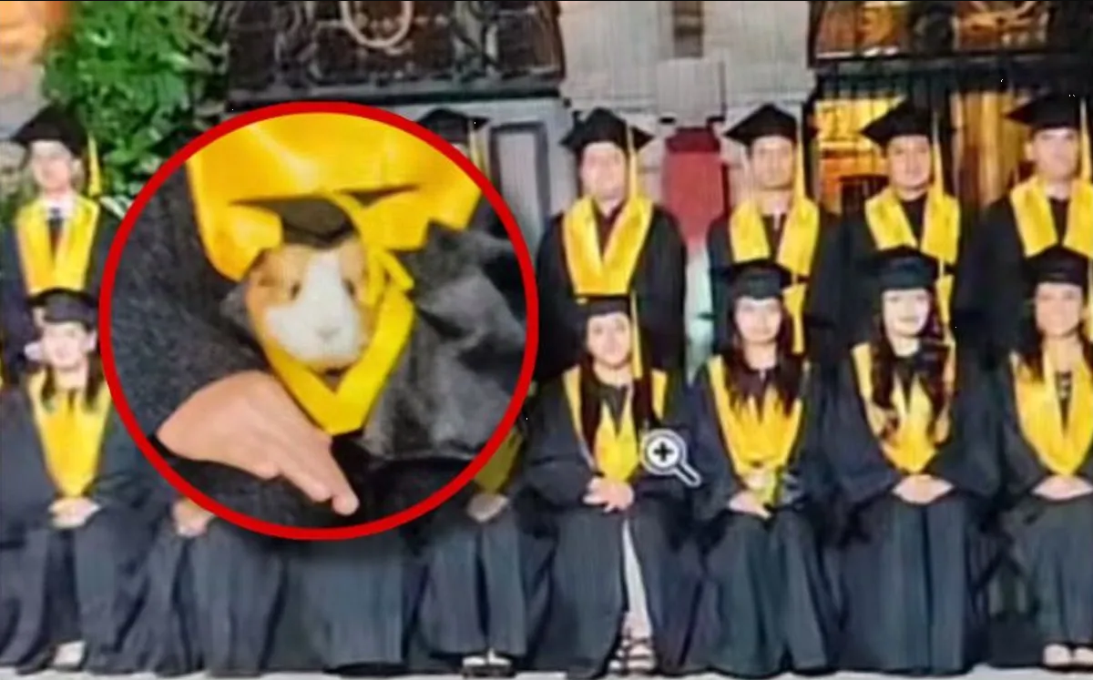 Tierno cuyo se hace viral por colarse en foto de graduación