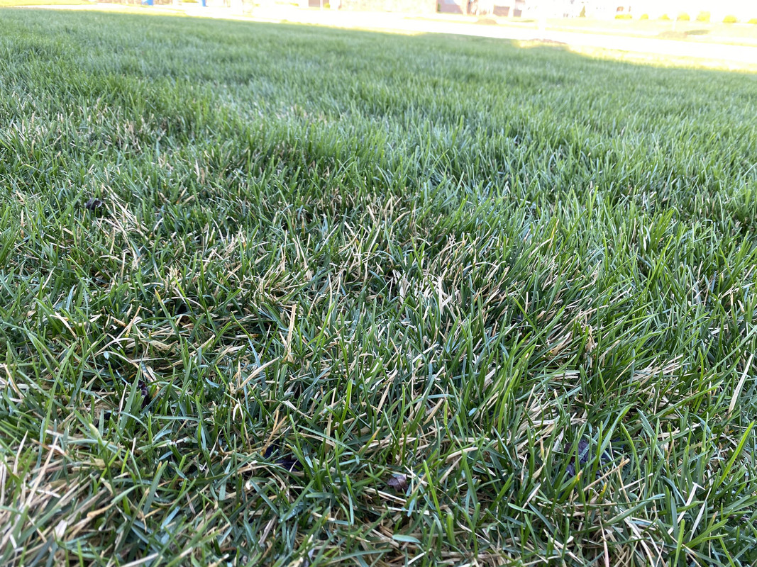 57A16D47-54B2-48BC-9313-07ED37ABF222