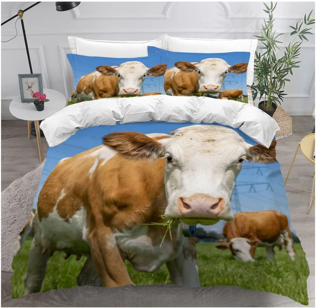 QQ截图20251229140431