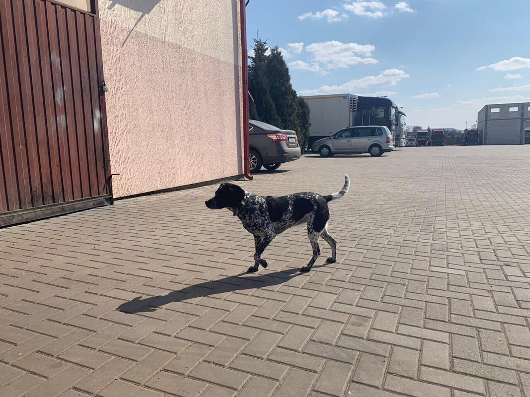 462B8C84-874D-425B-B752-9284831256EC