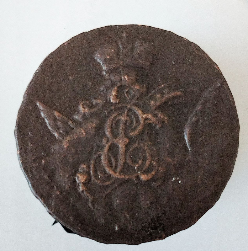 photo 5323701556869797123 y