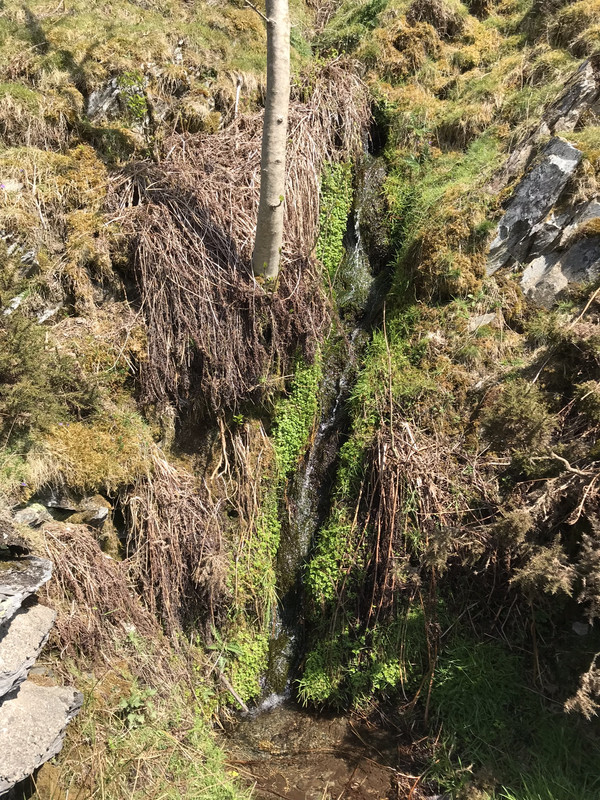 23F65C93-626A-4F3C-A087-D3E58D8D6567