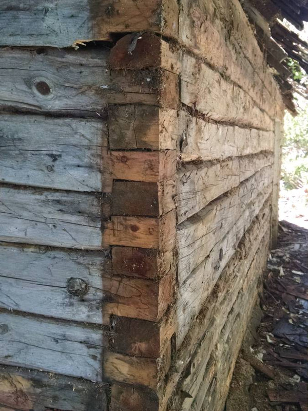 8E09733F-A3CB-455F-9872-8CA01F65B031