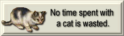 CATS ARE THE BEST