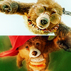 paddington2cubrescue