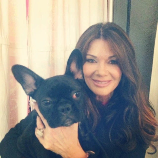 7-22-14-Instagram-001.webp