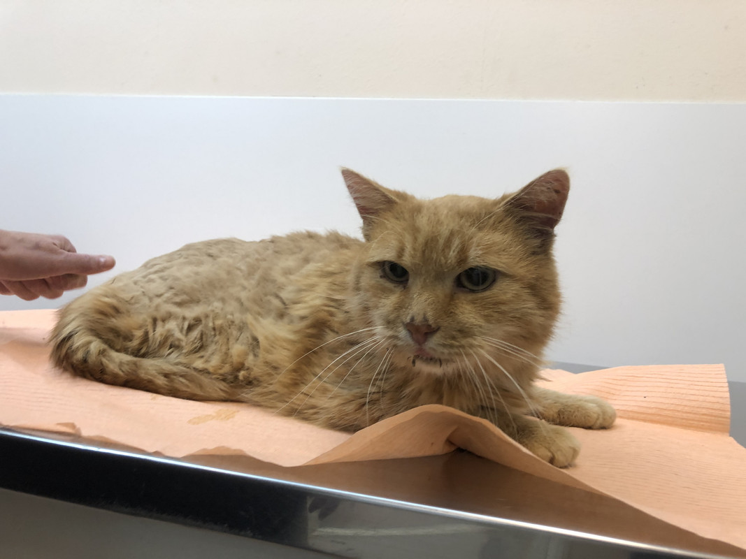 742509C4-16EF-4E3C-BD9F-8B03D63B69D8