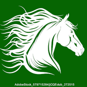 Colour of Choice 3 stable avi