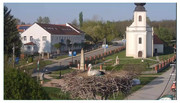Kép
