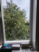 IMG-20250902-151841