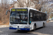 IMG-2834