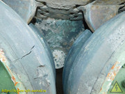 DSCN5491