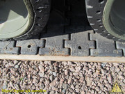 IMG-3371