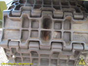 IMG-3374