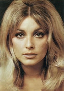 sharon-tate-me10