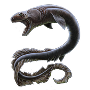 Huge_item_frilledshark_01